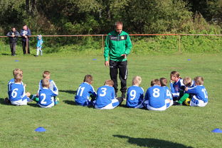 星空娱乐客服-中国篮球教练员战术创新能力培养研究，篮球教练员职业素养的三大核心